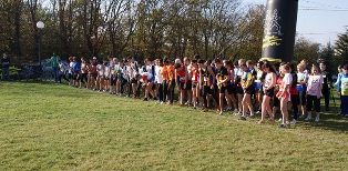CROSS MASSY